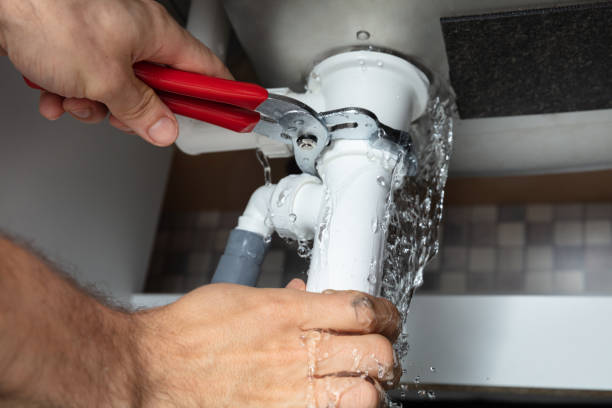 Best Carpet water damage restoration  in Steubenville, OH