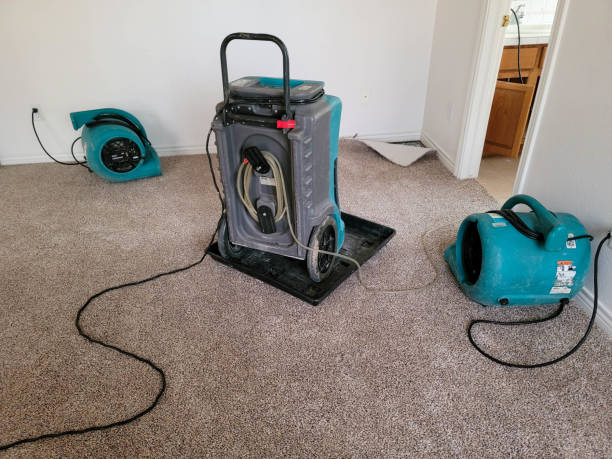 Professional Water damage restoration in Steubenville, OH