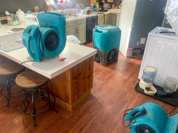 Best Ceiling water damage repair  in Steubenville, OH