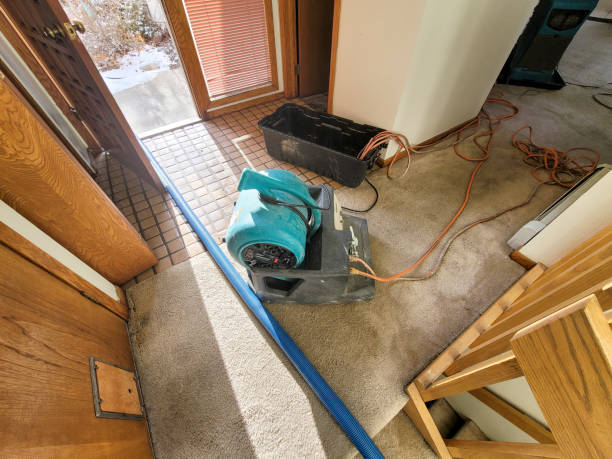 Best Flood damage cleanup  in Steubenville, OH