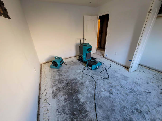 Best Flood restoration services  in Steubenville, OH