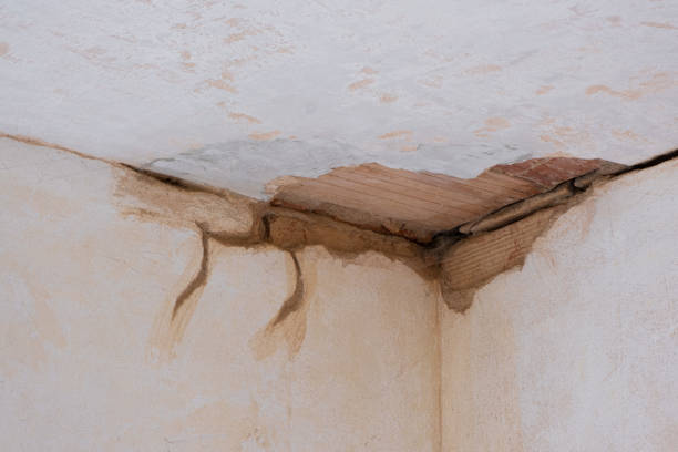 Best Flooded house restoration  in Steubenville, OH