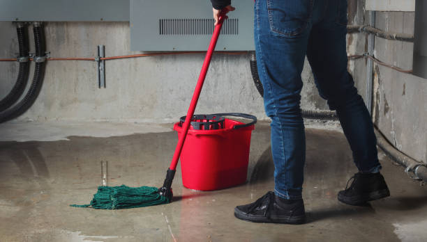 Best Sewage cleanup and water damage restoration  in Steubenville, OH