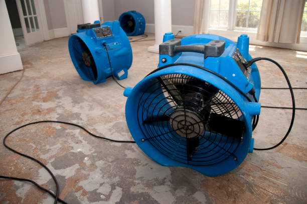 Best Water damage restoration cost  in Steubenville, OH