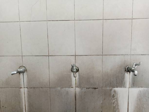 Best Water damage restoration near me  in Steubenville, OH