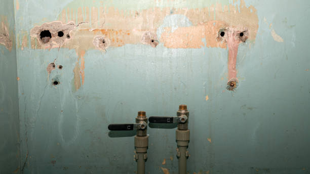 Best Water damage repair service  in Steubenville, OH