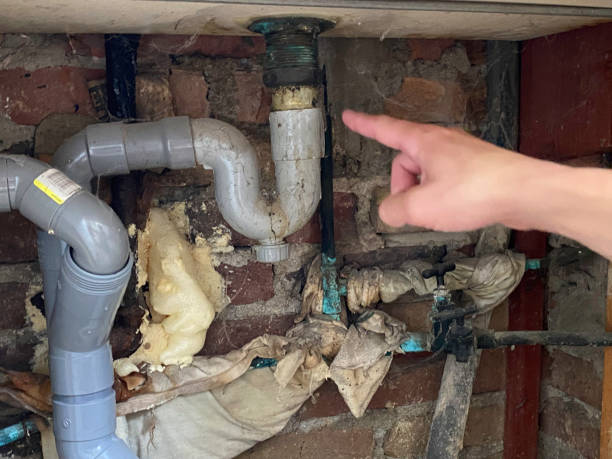 Best Water damage cleanup near me  in Steubenville, OH